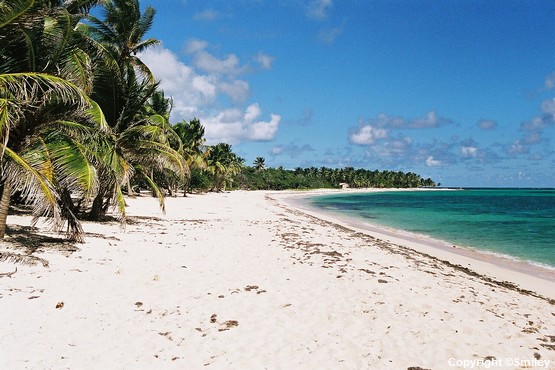 marie-galante