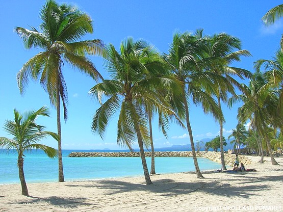 plage-sainte-anne